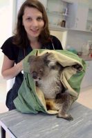 Kuala bear rescue with Dr Joanna Griffith